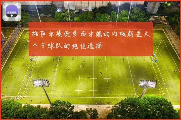 维萨尔展现多面才能的内线新星大个子球队的绝佳选择