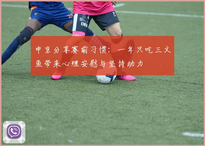 申京分享赛前习惯：一年只吃三文鱼带来心理安慰与坚持动力